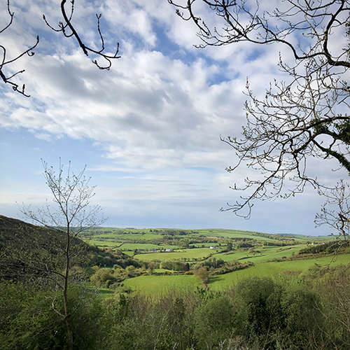While the Backburner Simmers looking from a cottage in Reavilleen, Ireland down the view of a lush green valley out to the Atlantic Ocean